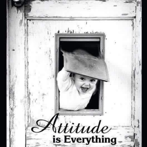 Meet your Posher, Joe - Picture 1 of 1